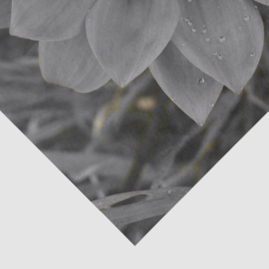 Two of a Kind Tissuepapier (Detail)