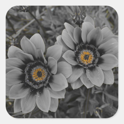 Two of a Kind Vierkante Sticker (Voorkant)