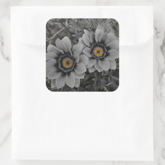 Two of a Kind Vierkante Sticker (Tas)