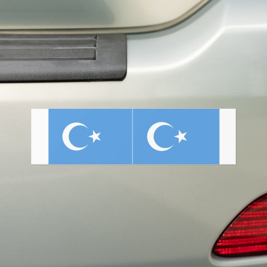 TWO Oost-Turkestan Oeigoerse vlag Bumpersticker (Op auto)