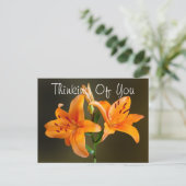 Two Orange Tiger Lilies and Buds Photograph Briefkaart (Staand voorkant)