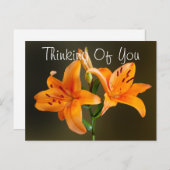 Two Orange Tiger Lilies and Buds Photograph Briefkaart (Voorkant / Achterkant)