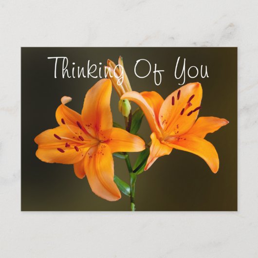 Two Orange Tiger Lilies and Buds Photograph Briefkaart (Voorkant)