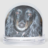 Two Paw Prints Memorial, Teal to Blue Sneeuwbol (Achterkant)