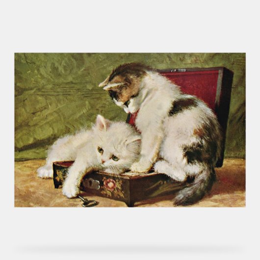 Two Playful Kittens Acryl Bord (Voorkant)