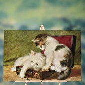 Two Playful Kittens Acryl Bord (Neutraal)