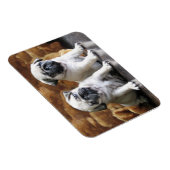 Two Pugs Magnet Magneet (Rechterzijde)