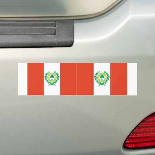 TWO Raleigh, North Carolina Flag Bumpersticker (Op auto)