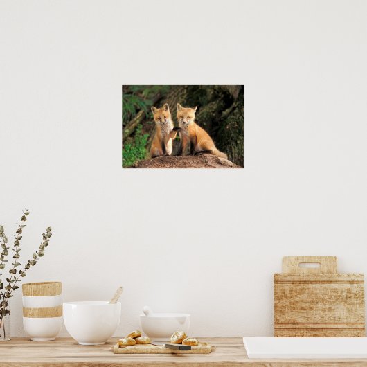 Two Red Fox Pups in Front of Their Den Poster (Keuken)