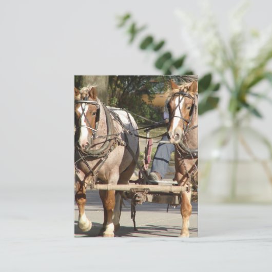  Two Red Roan Horses Briefkaart (Staand voorkant)