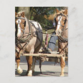 Two Red Roan Horses Briefkaart (Voorkant)