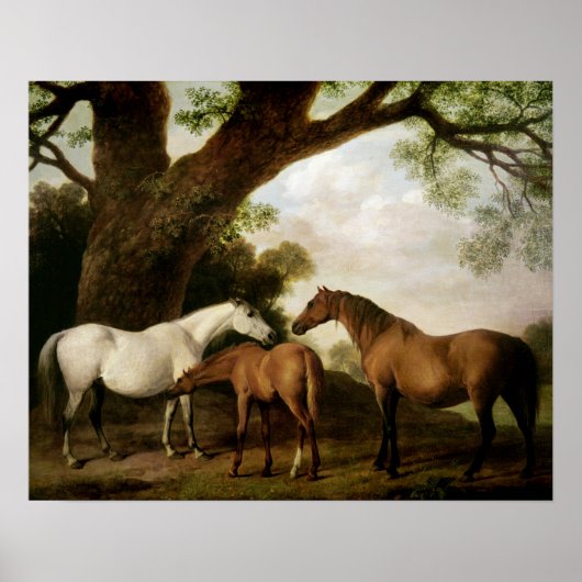 Two Shafto Mares and a Foal, 1774 Poster (Voorkant)