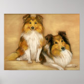 "Two Shetland Sheepdogs" Dog Art Print (Voorkant)