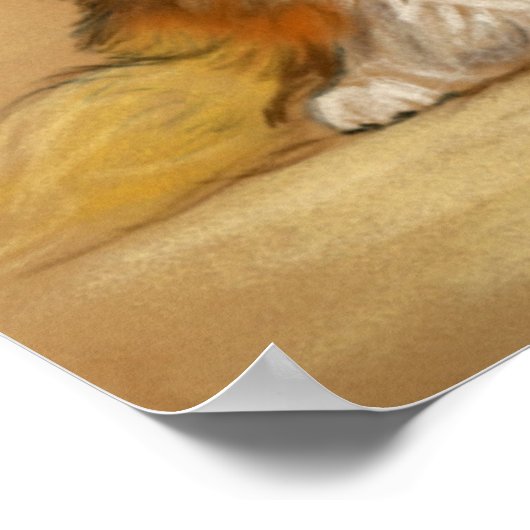 "Two Shetland Sheepdogs" Dog Art Print (Hoek)