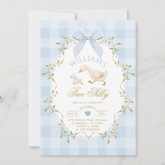 Two Silly Goose Blue Gingham Boy 2nd Birthday Kaart (Voorkant)