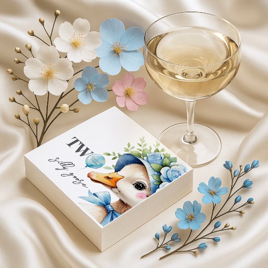 Two Silly Goose Boy Birthday  Servet