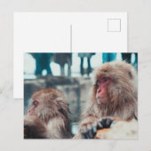 Two Snow Monkeys in Nagano, Japan Briefkaart (Voorkant / Achterkant)
