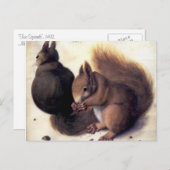 "Two Squirrels" van Albrecht Dürer Briefkaart (Voorkant / Achterkant)