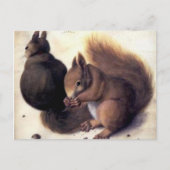 "Two Squirrels" van Albrecht Dürer Briefkaart (Voorkant)