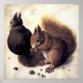 "Two Squirrels" van Albrecht Dürer Poster (Voorkant)