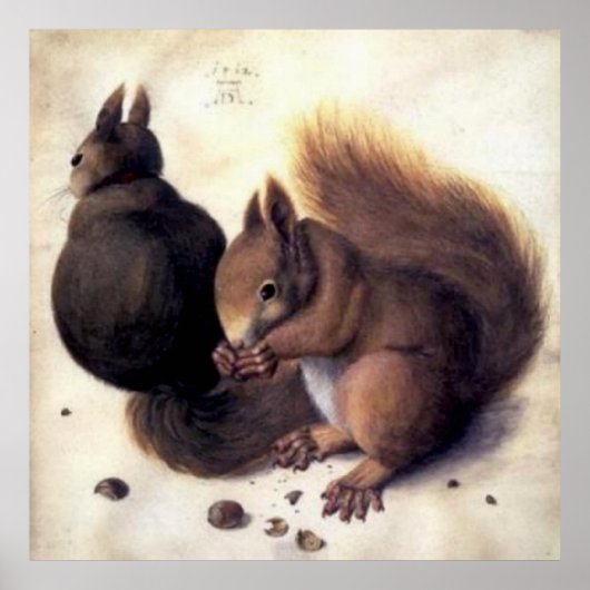 "Two Squirrels" van Albrecht Dürer Poster (Voorkant)