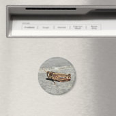 Two-Striped Grasshopper Magnet (Insitu (Vaatwasser))