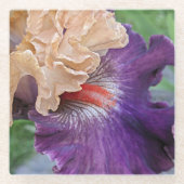 Two-tone Bearded Iris Bloom Floral Glazen Onderzetter (Voorkant)