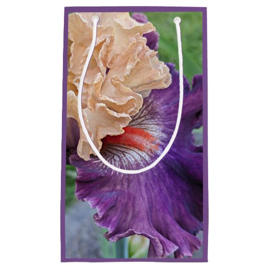 Two-tone Bearded Iris Bloom Floral Klein Cadeauzakje (Voorkant)