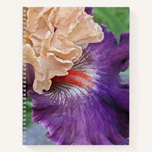 Two-tone Bearded Iris Bloom Floral Notitieboek (Voorkant)