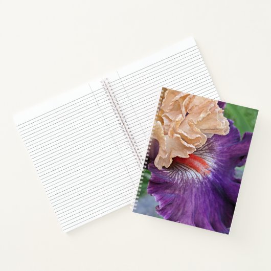 Two-tone Bearded Iris Bloom Floral Notitieboek (Binnen)
