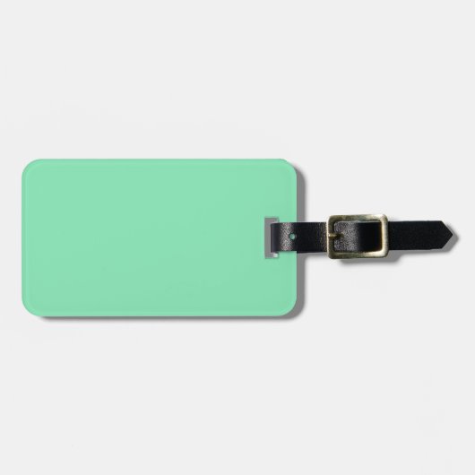 Two-Tone Brown & Mint Green Bagagelabel (Voorkant horizontaal)