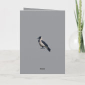 Two-Tone Sentinel Black Hooded Crow Kaart (Achterkant)