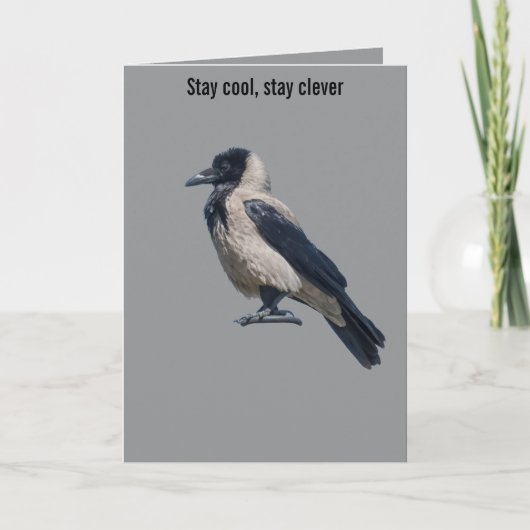 Two-Tone Sentinel Black Hooded Crow Kaart (Voorkant)
