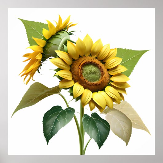 Two Vibrant Sunflowers with Lush Green Leaves Poster (Voorkant)