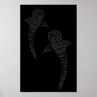 Two Whale Shark Black and White Poster