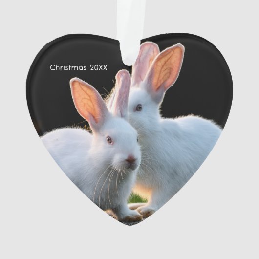 Two White Rabbits with Red Hearts Holiday Ornament (achterkant)