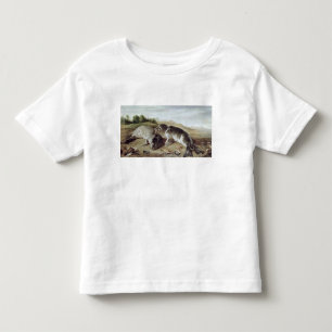 Two Young Seals on the Shore, c.1650 Kinder Shirts
