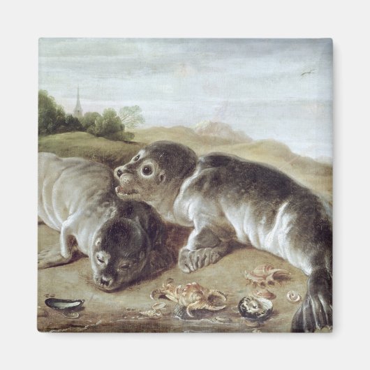 Two Young Seals on the Shore, c.1650 Magneet (Voorkant)