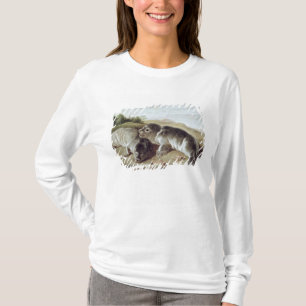 Two Young Seals on the Shore, c.1650 T-shirt