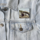 Two Young Seals on the Shore, c.1650 Vierkante Button 5,1 Cm (In situ)