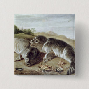 Two Young Seals on the Shore, c.1650 Vierkante Button 5,1 Cm