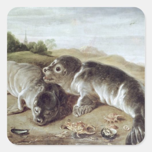 Two Young Seals on the Shore, c.1650 Vierkante Sticker (Voorkant)