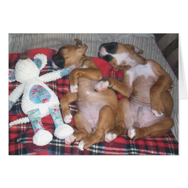 'Two's Company and Three is nog beter' (Voorkant Horizontaal)