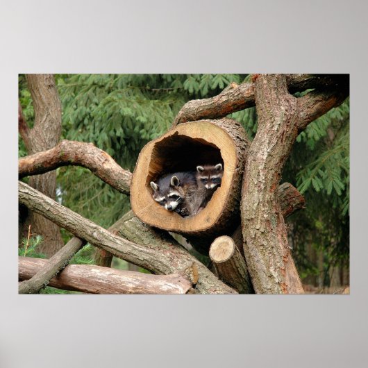 Two's Company Poster (Voorkant)