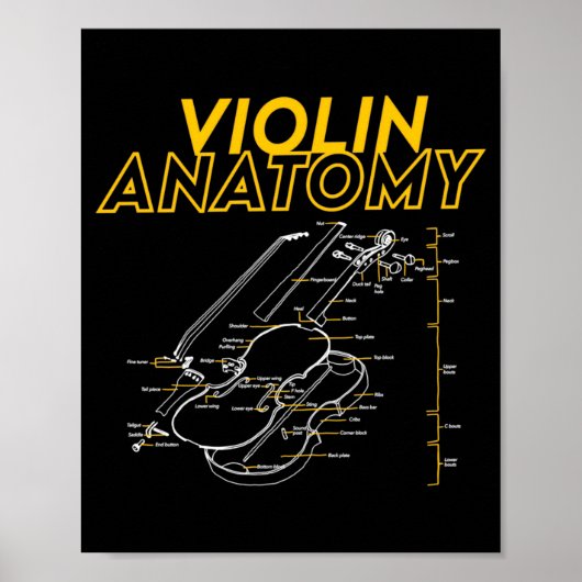 Twoset Violin Violin Anatomy Drawing Diagram Limit Poster (Voorkant)