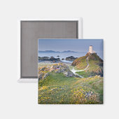Twr Mawr Lighthouse op Llanddwyn Island Magneet (Voorkant / Achterkant)
