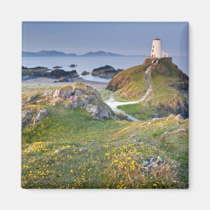 Twr Mawr Lighthouse op Llanddwyn Island Magneet