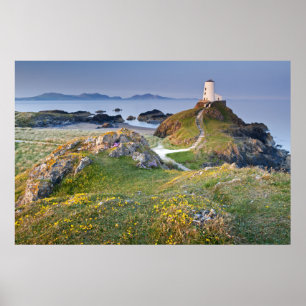 Twr Mawr Lighthouse op Llanddwyn Island Poster