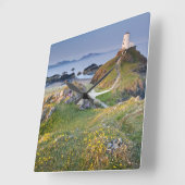 Twr Mawr Lighthouse op Llanddwyn Island Vierkante Klok (Hoek)