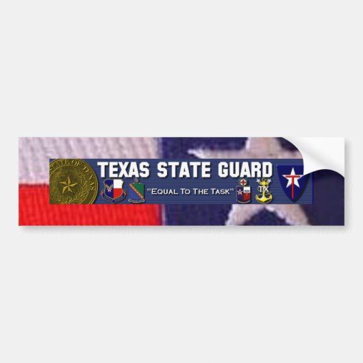 TX vlag vierkant, TXSG Licentie plat vol Bumpersticker (Voorkant)